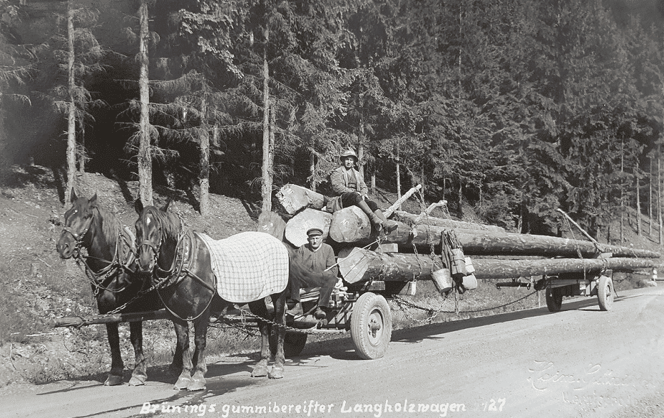 Pferdelangholzwagen